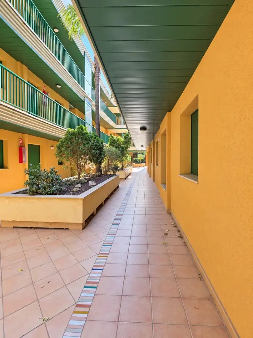 Appartement compact avec jardin à vendre à Calle EUCALIPTUS, imagen 39