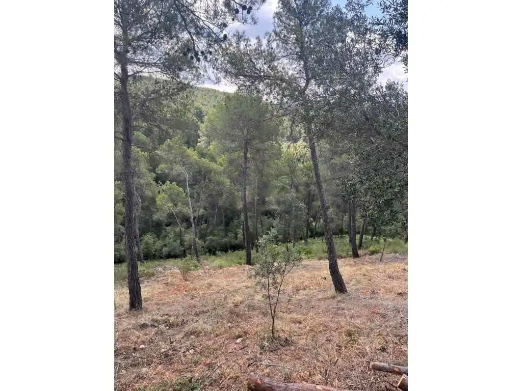 Residential land for sale in Viladecavalls, imagen 6