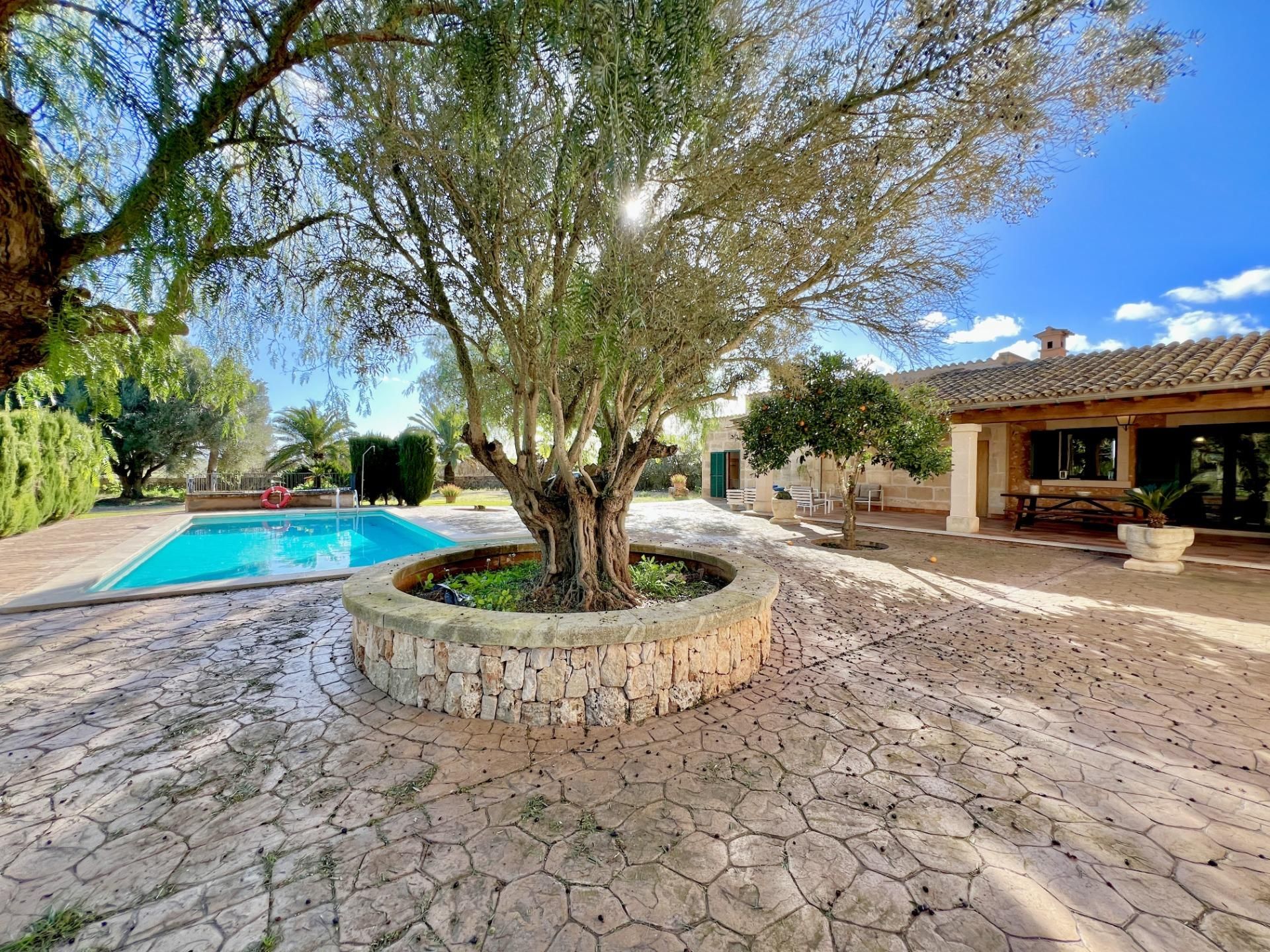 Garden of Country house to rent in Campos  with Private garden, Terrace and Storage room