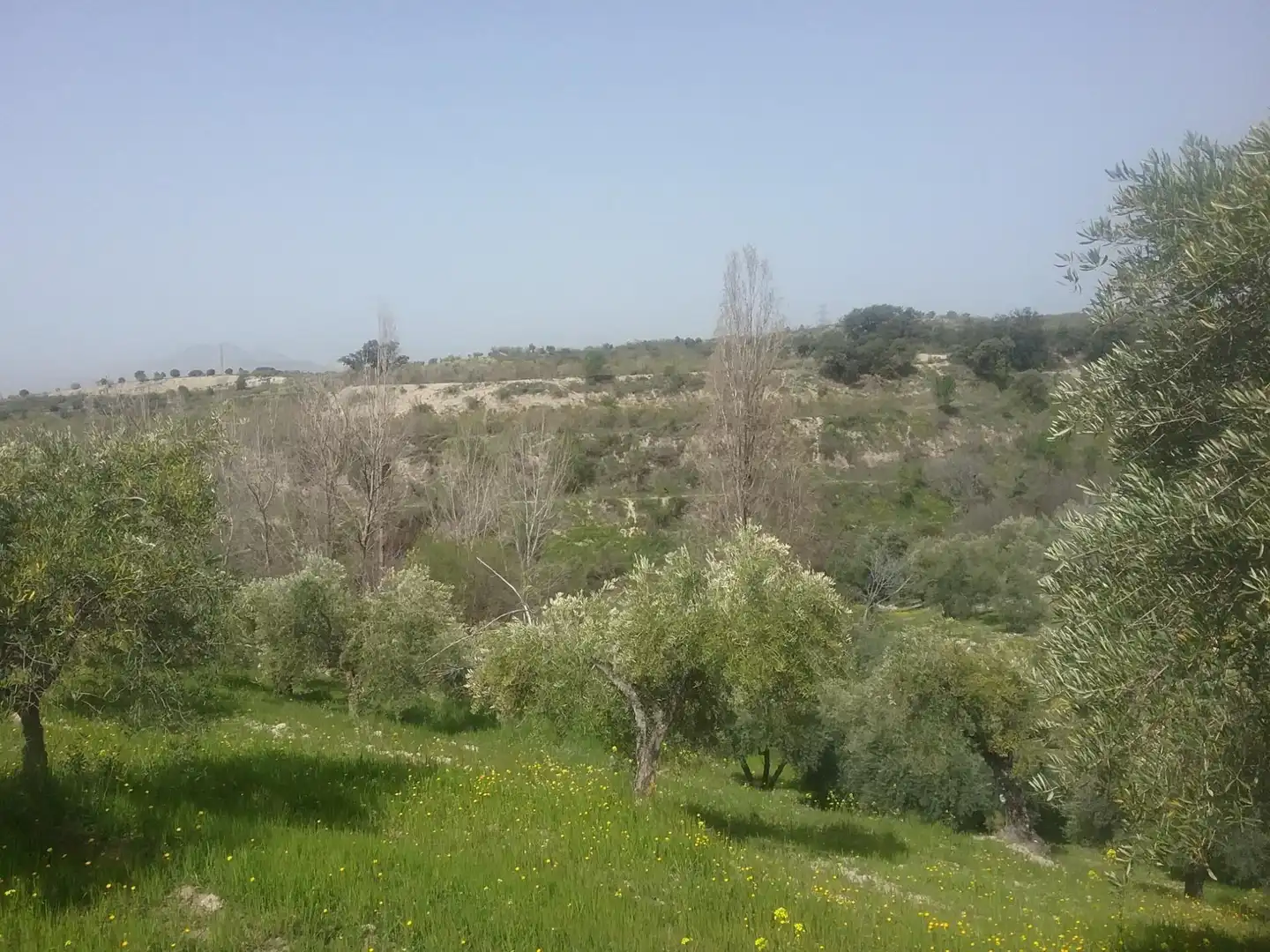 Land for sale in  Granada Capital