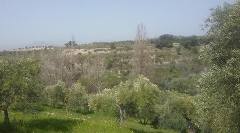 Foto 3 de Terreno en venta en La Paz,  Granada Capital