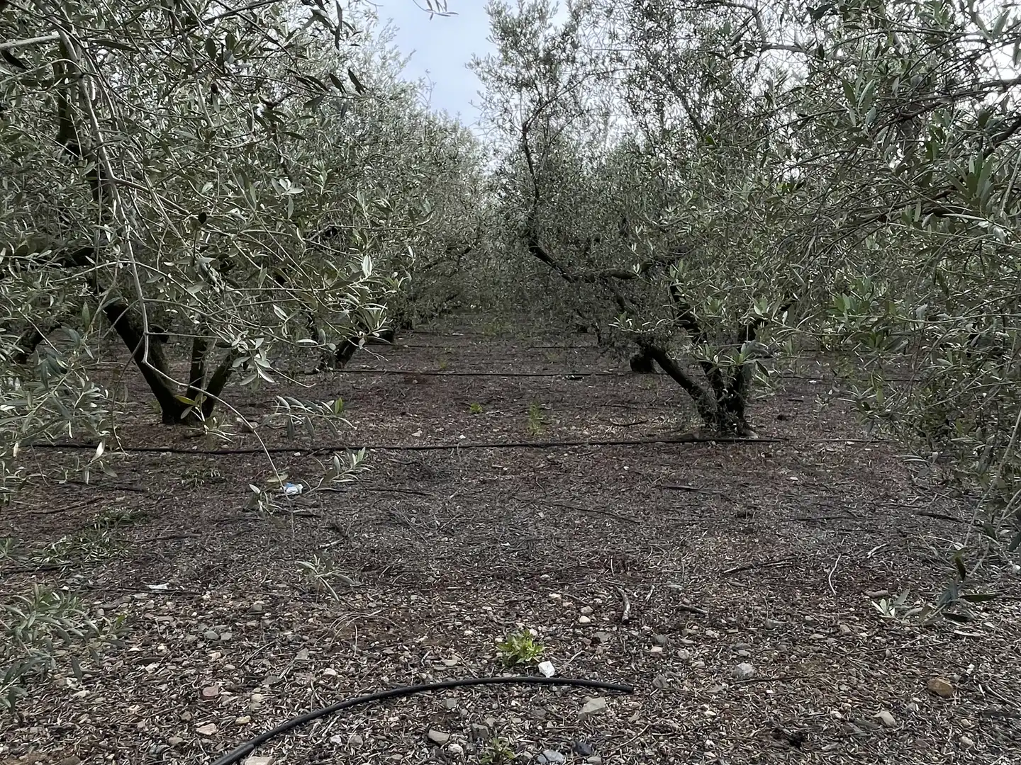 Land for sale in Cambrils