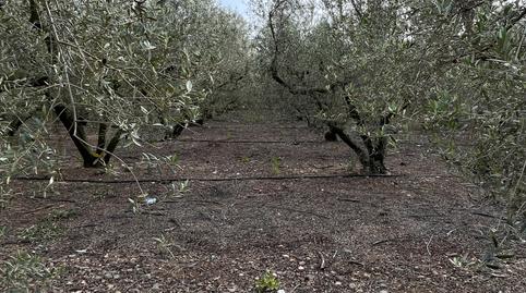 Photo 5 of Land for sale in E-15, 267, Tarraco, Tarragona