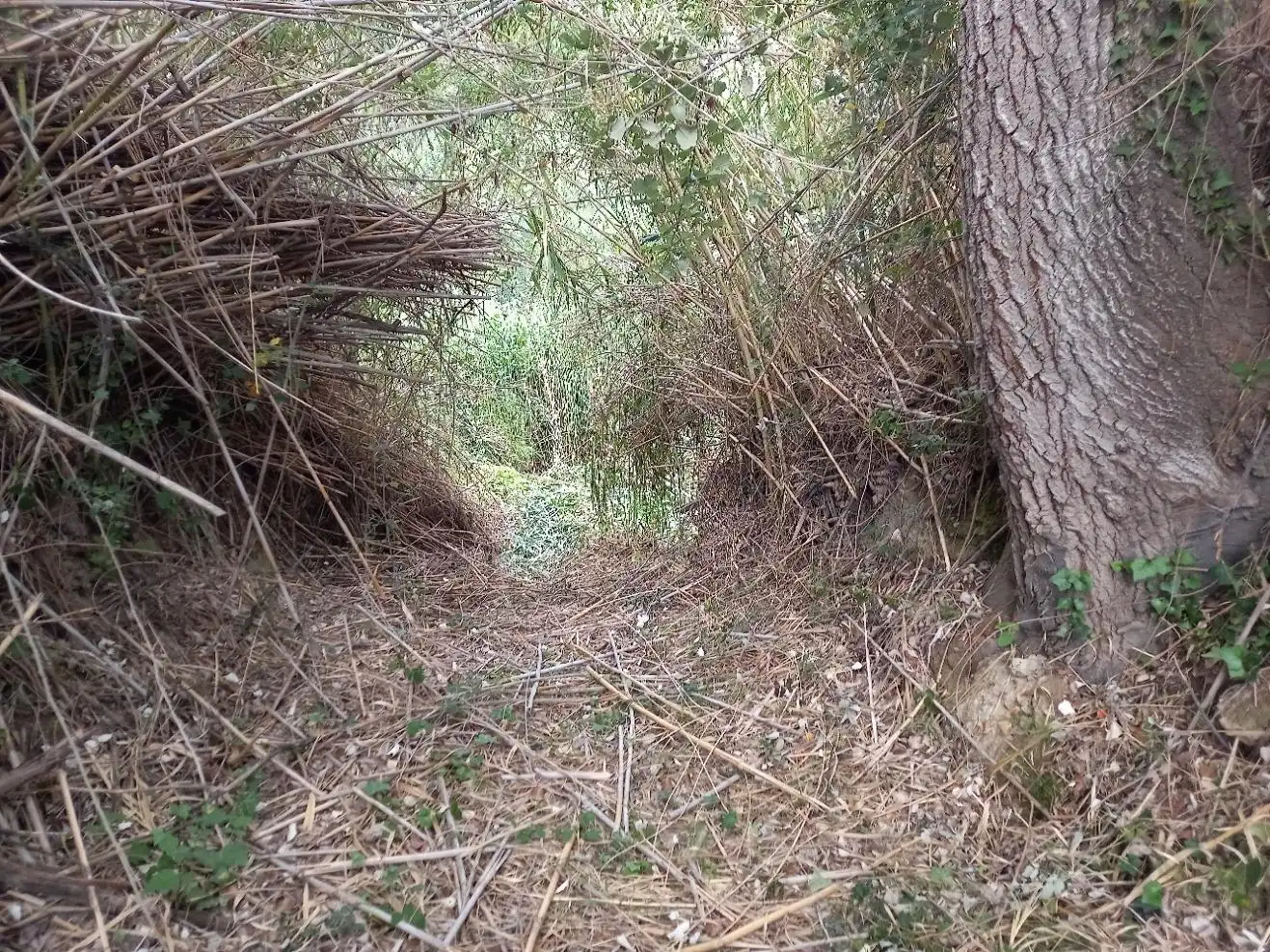 Terrenys i solars en venda a Miravet, imagen 20