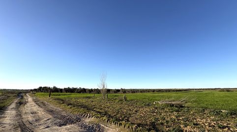 Foto 3 de Terreno industrial en venta en N/a, Cedillo del Condado, Toledo