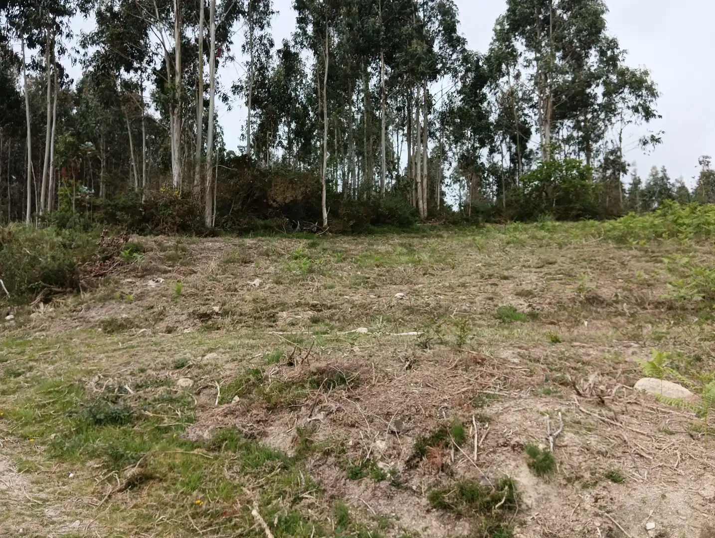 Terrenos y solares en venta en Coirós, imagen 4
