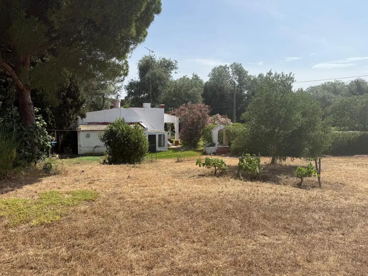 Jardí de Casa o xalet en venda en Vejer de la Frontera amb Aire condicionat, Calefacció i Jardí privat