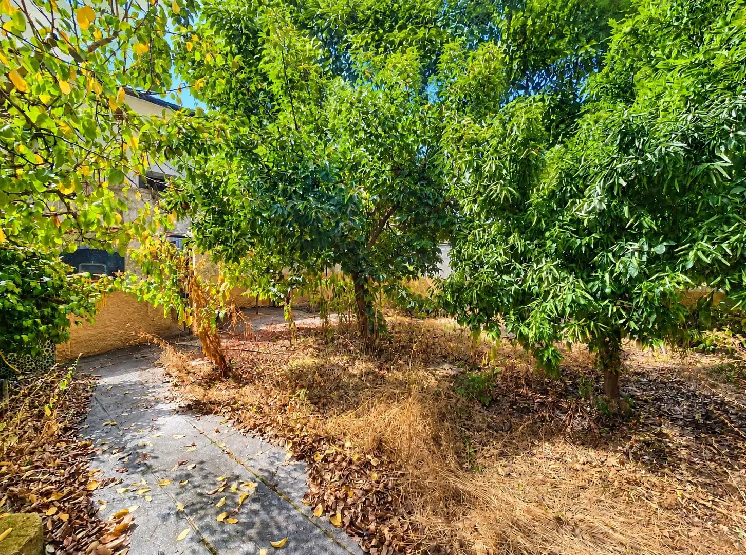 Maison mitoyenne avec terrasse à vendre à Avenida Avenida Ramón y Cajal, imagen 4