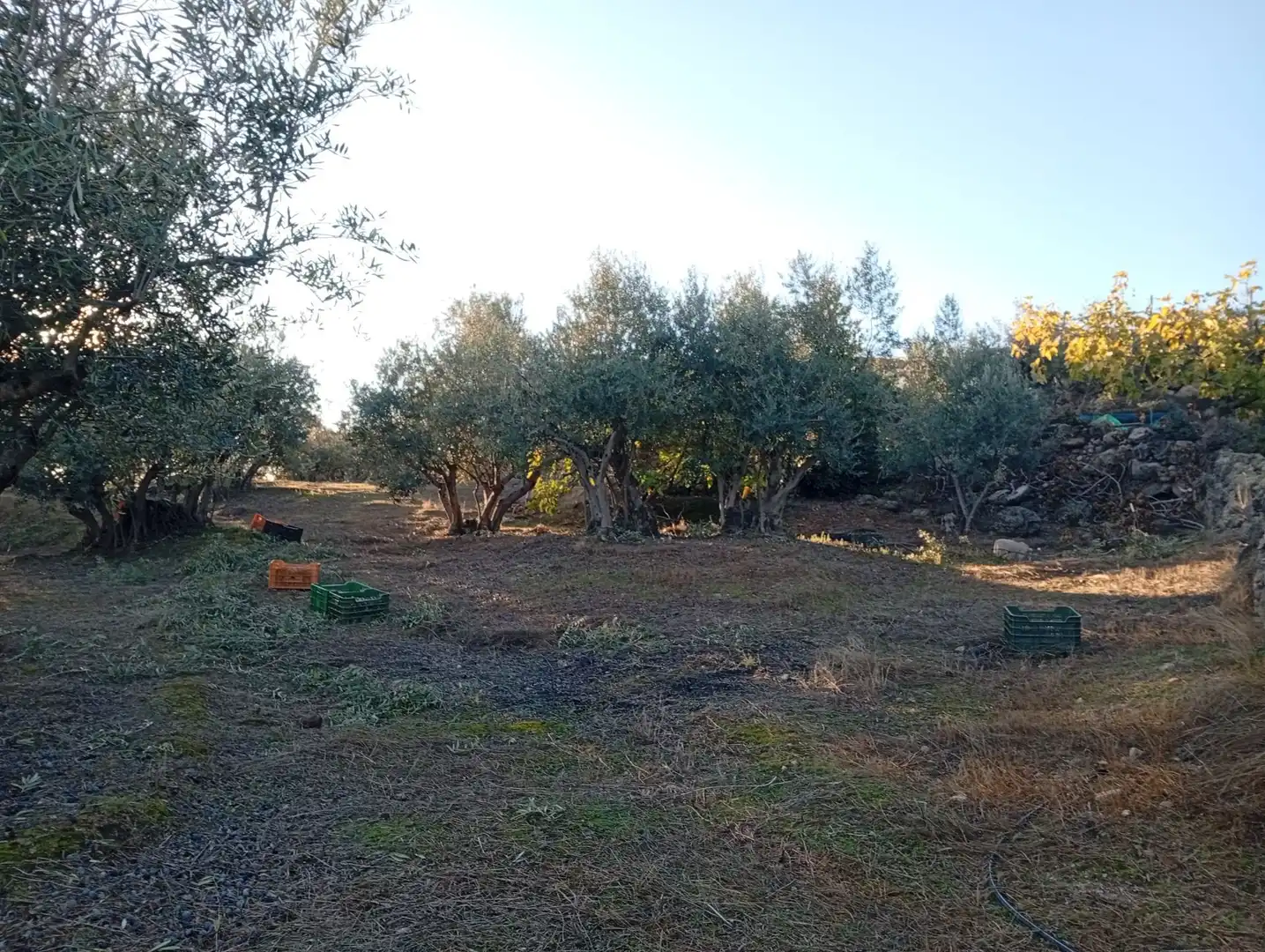 Terreni e lotti in vendita a Villanueva de la Vera, imagen 35