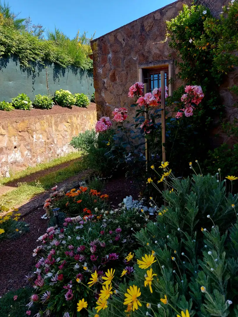 Jardí de Casa o xalet en venda en Tacoronte amb Jardí privat, Parquet i Terrassa
