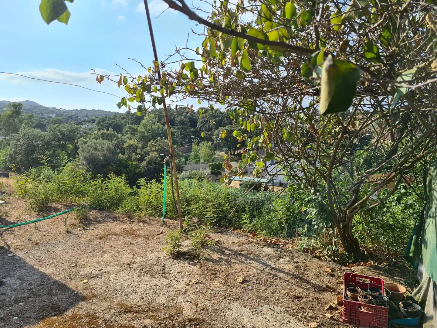 Wohnbaugrundstück zum Verkauf in Carrer del Consell de Cent, imagen 6