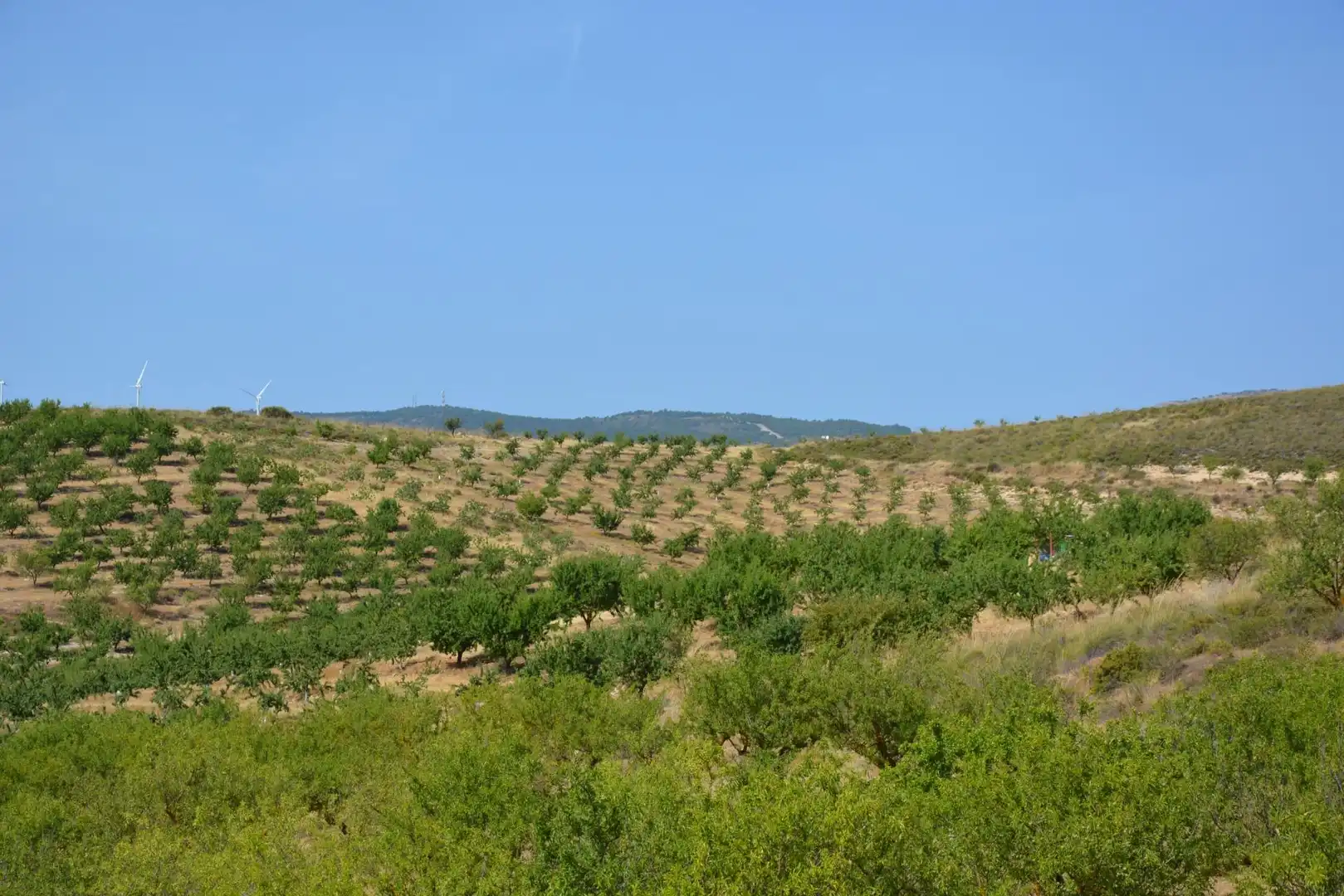 Land for sale in Padul