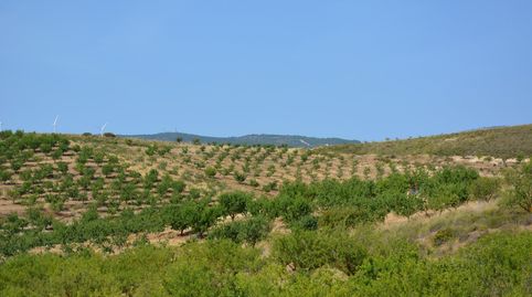 Foto 5 von Grundstücke zum Verkauf in Padul, Granada