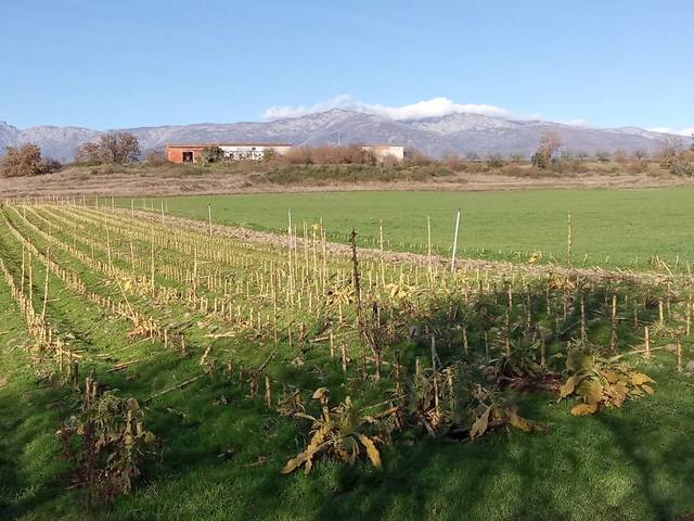 Terreno en Venta en Losar de la Vera