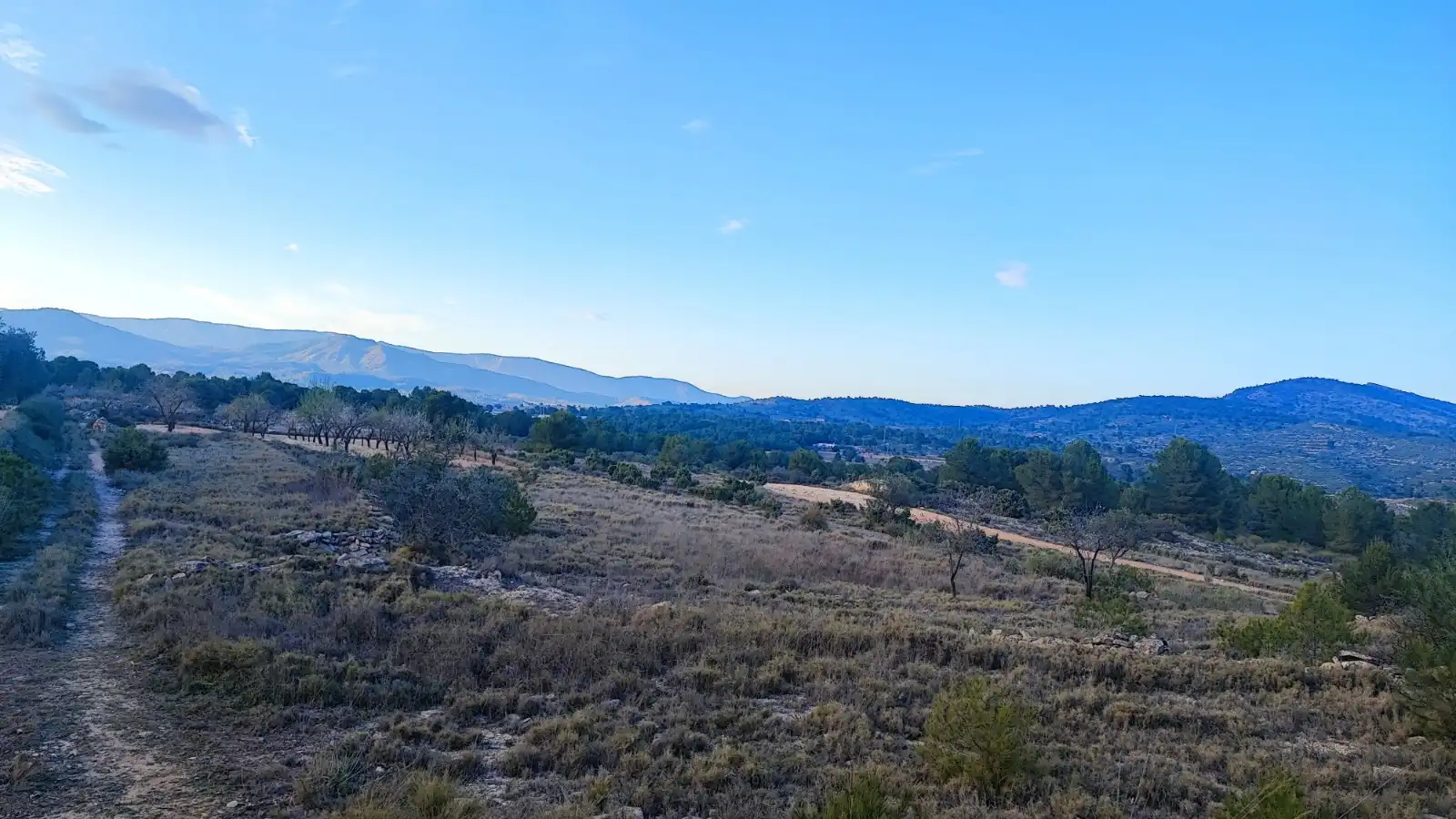 Terreno en venta en Monóvar  / Monòver
