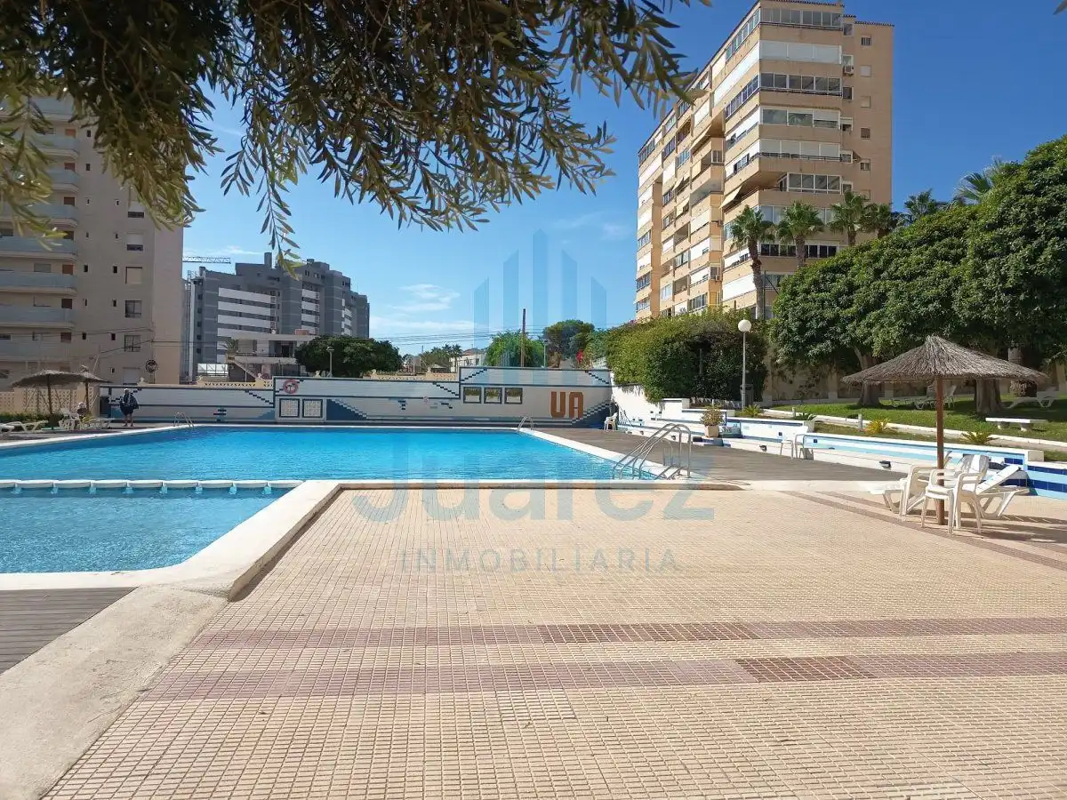 Schwimmbecken von Wohnung zur Miete in Alicante / Alacant mit Klimaanlage, Terrasse und Möbliert