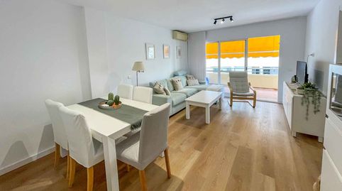 Photo 5 of Apartments for rent in Casco Antiguo, Marbella