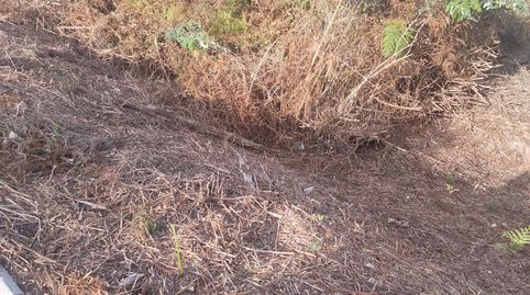 Terreno en lugar o Cabalo  Bueu Pontevedra, immagine 5