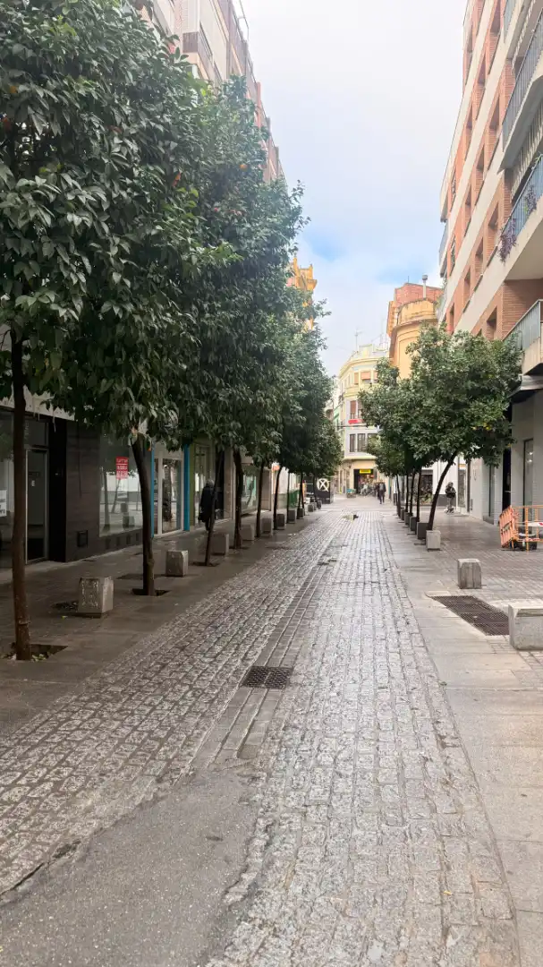 Vista exterior de Oficina de lloguer en Córdoba amb Aire condicionat, Calefacció i Internet