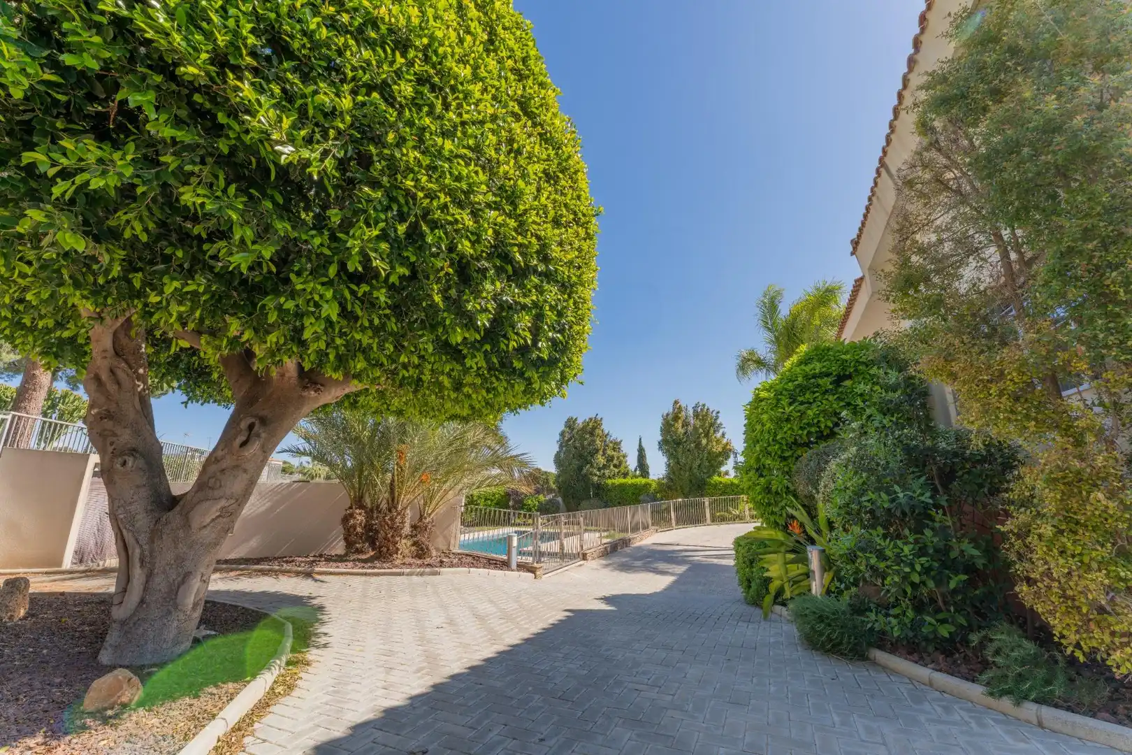Jardín de Casa o chalet en venta en Elche / Elx con Aire acondicionado, Calefacción y Jardín privado