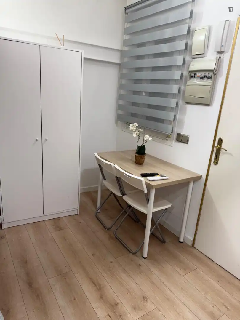 Estudio en alquiler en Centro, imagen 7
