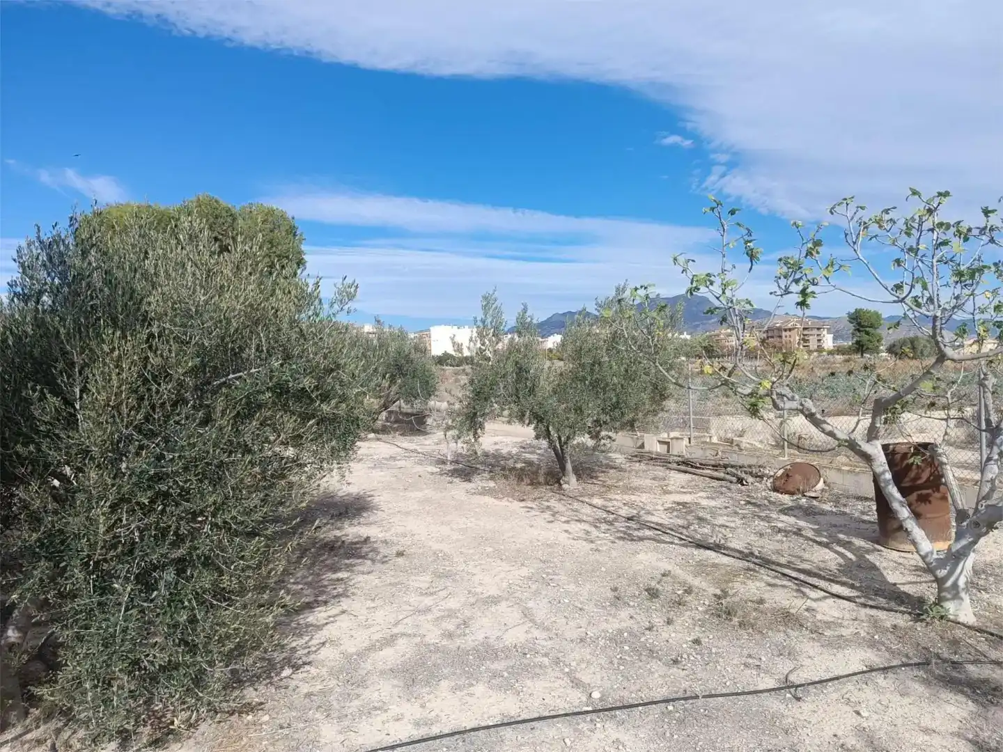 Casa o xalet en venda en Novelda amb Jardí privat, Traster i Moblat