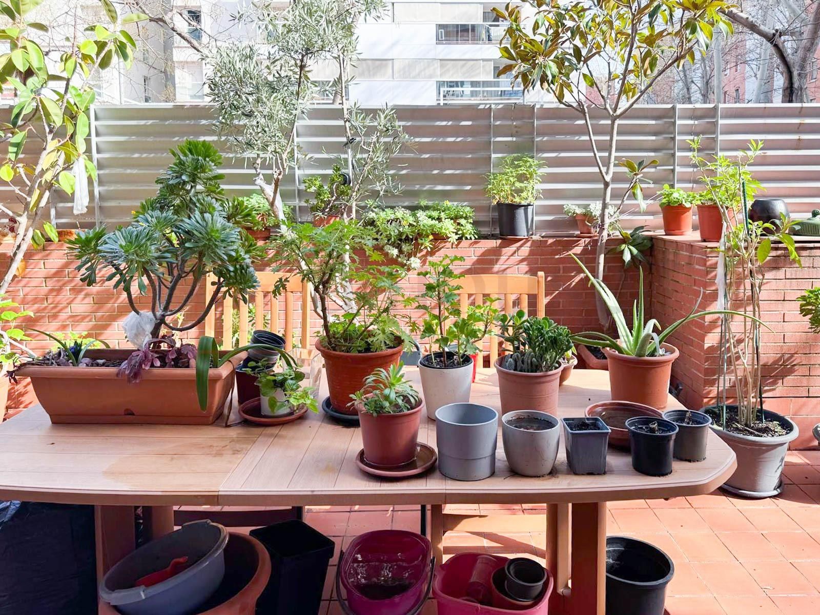 Terrace of Planta baja for sale in  Barcelona Capital  with Air Conditioner, Heating and Parquet flooring