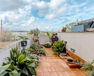 Terrace of Flat for sale in Sineu  with Terrace, Storage room and Balcony