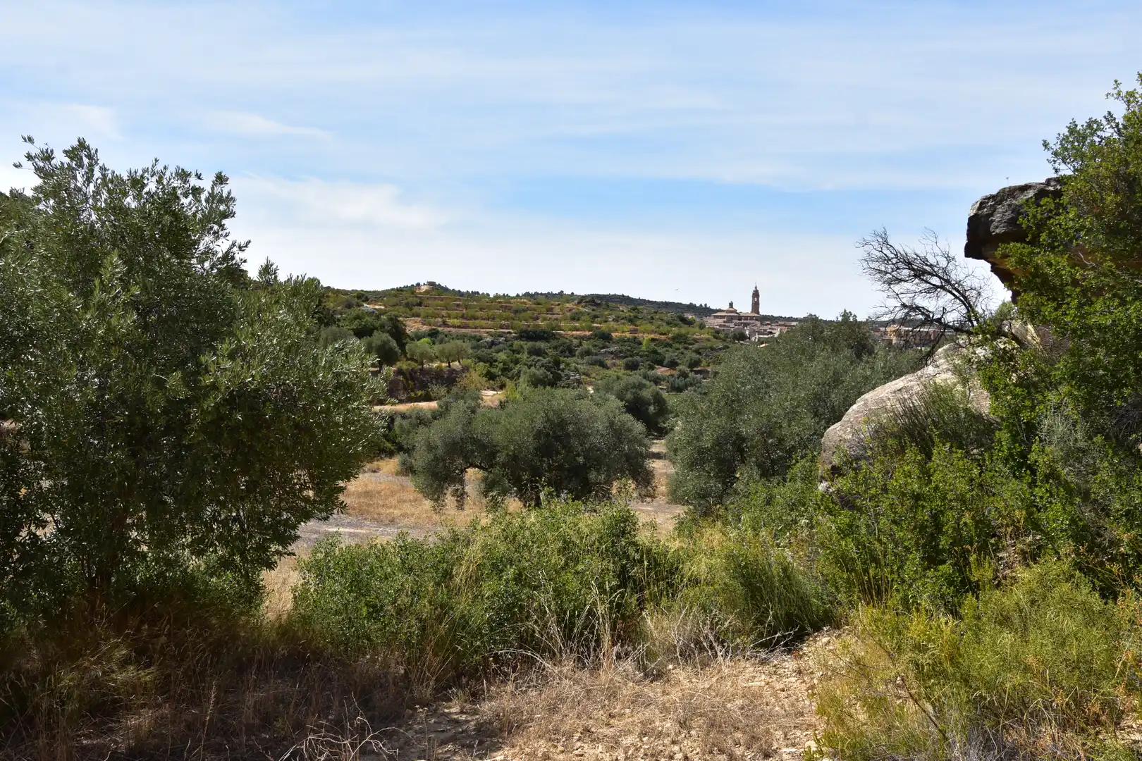 Terreni e lotti in vendita a Valdealgorfa, imagen 9