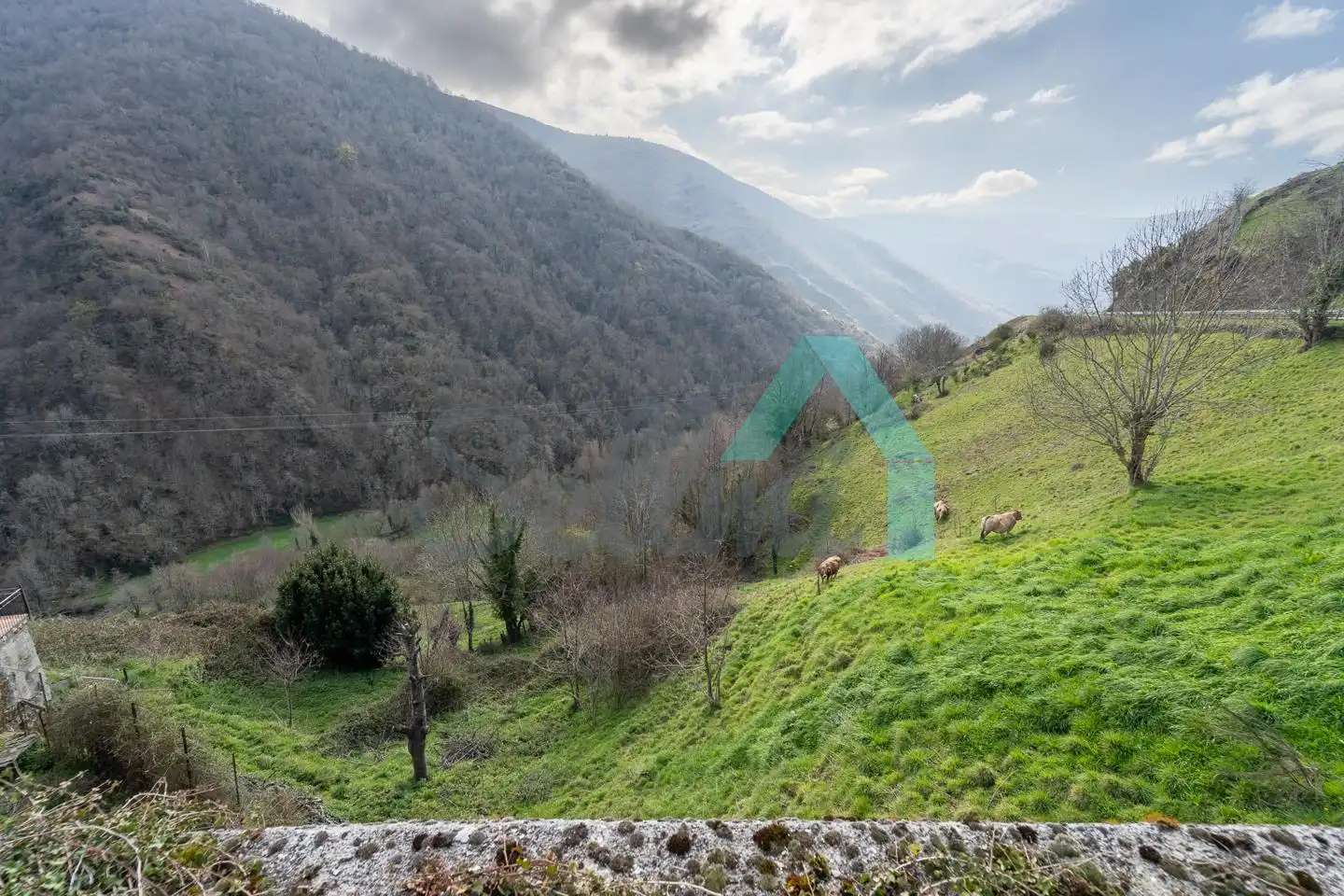 Casa adosada en venda en Cangas del Narcea amb Calefacció, Jardí privat i Terrassa