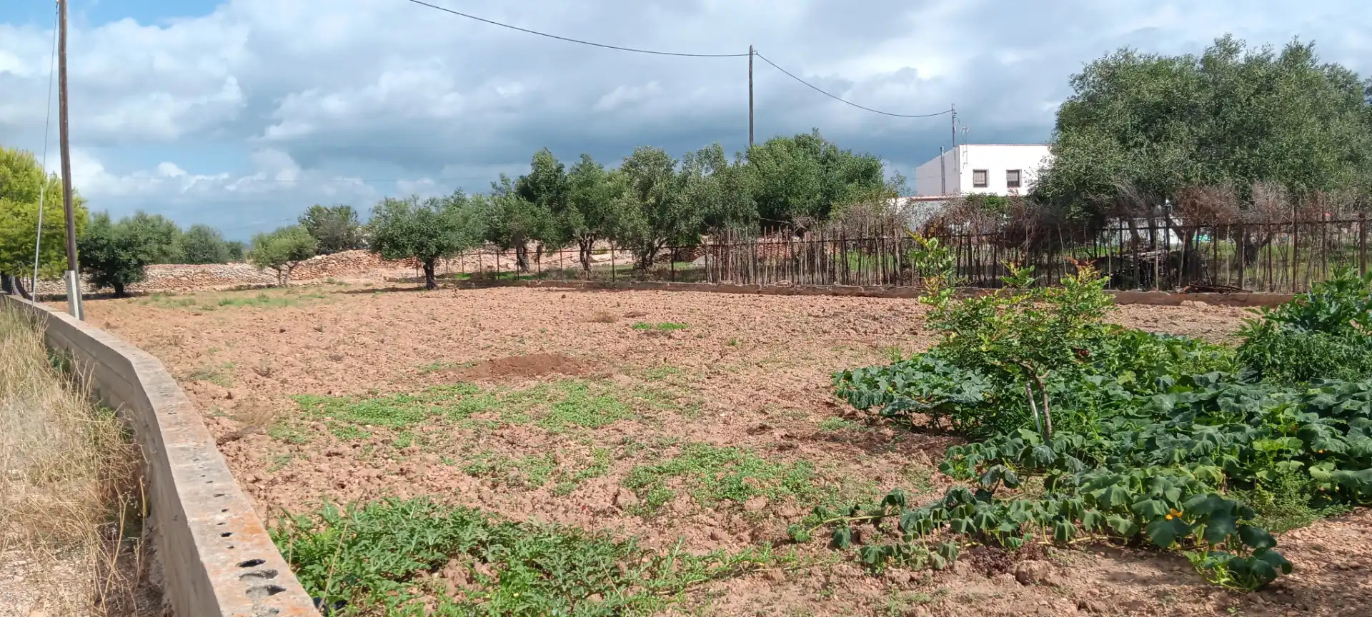 Houses for sale in Alcalà de Xivert  with Private garden and Terrace