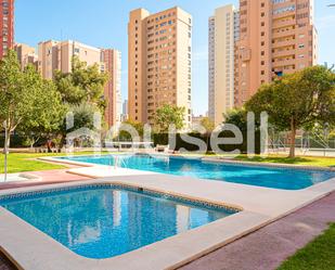 Piscina de Àtic en venda en Benidorm amb Aire condicionat, Terrassa i Piscina