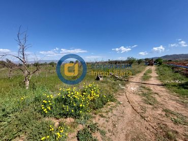 Terreny residencial en venda a Pedanías Sur