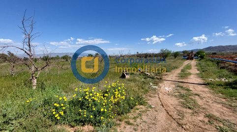 Parcela para construcción de vivienda unifamiliar en Purias