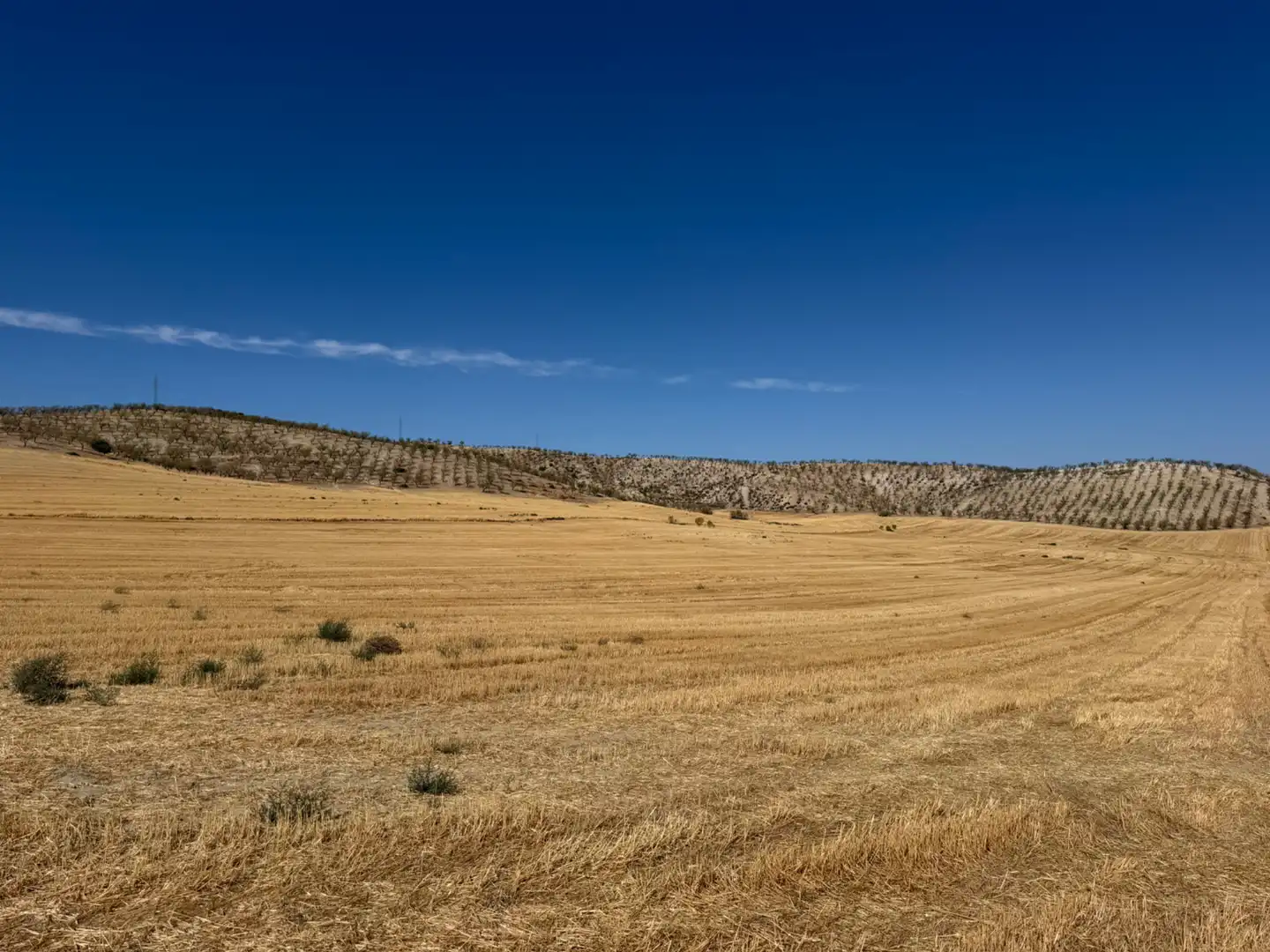 Terreno rustico in vendita a Camino de Alhendín, imagen 6