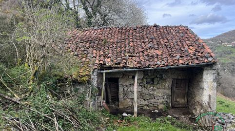FINCA Y CABAÑA EN CABRALES PICOS DE EUROPA, immagine 3