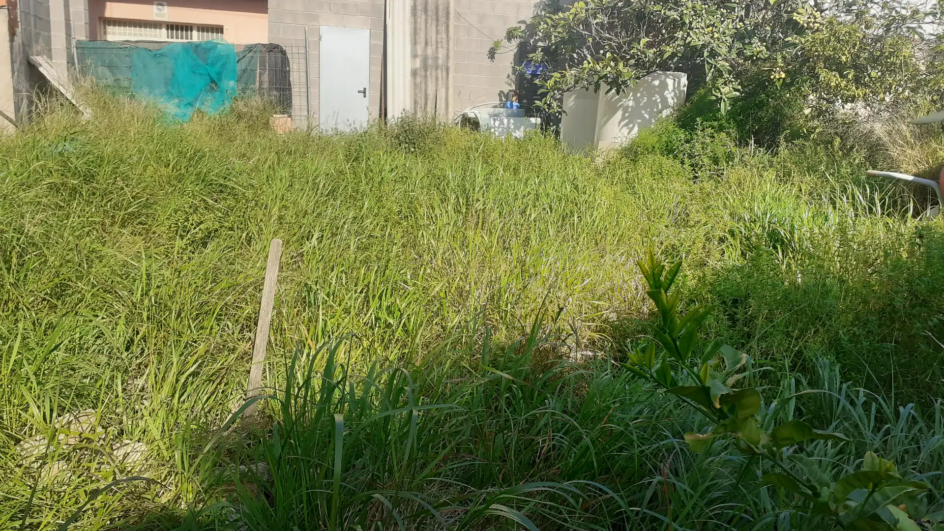 Terreny residencial en venda a Barri del Mar, imagen 2