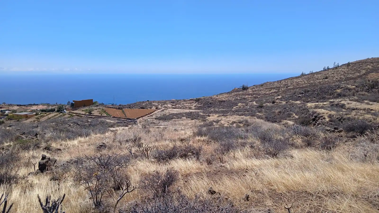 Rural land for sale in Machado - Las Barreras, imagen 3