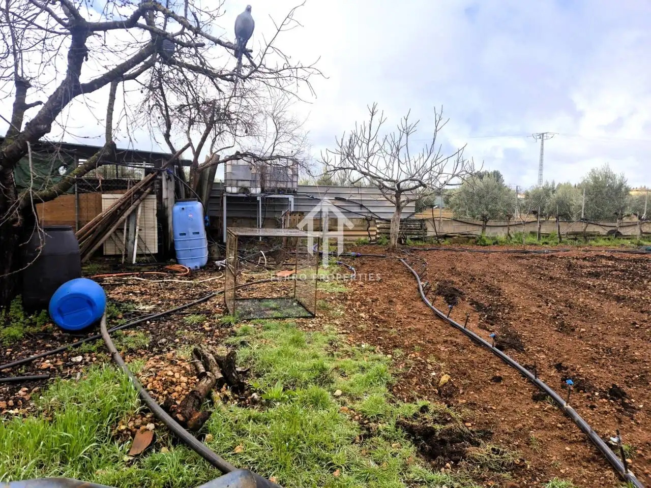 Finca rústica en venda en Moraleda de Zafayona amb Aire condicionat, Jardí privat i Piscina