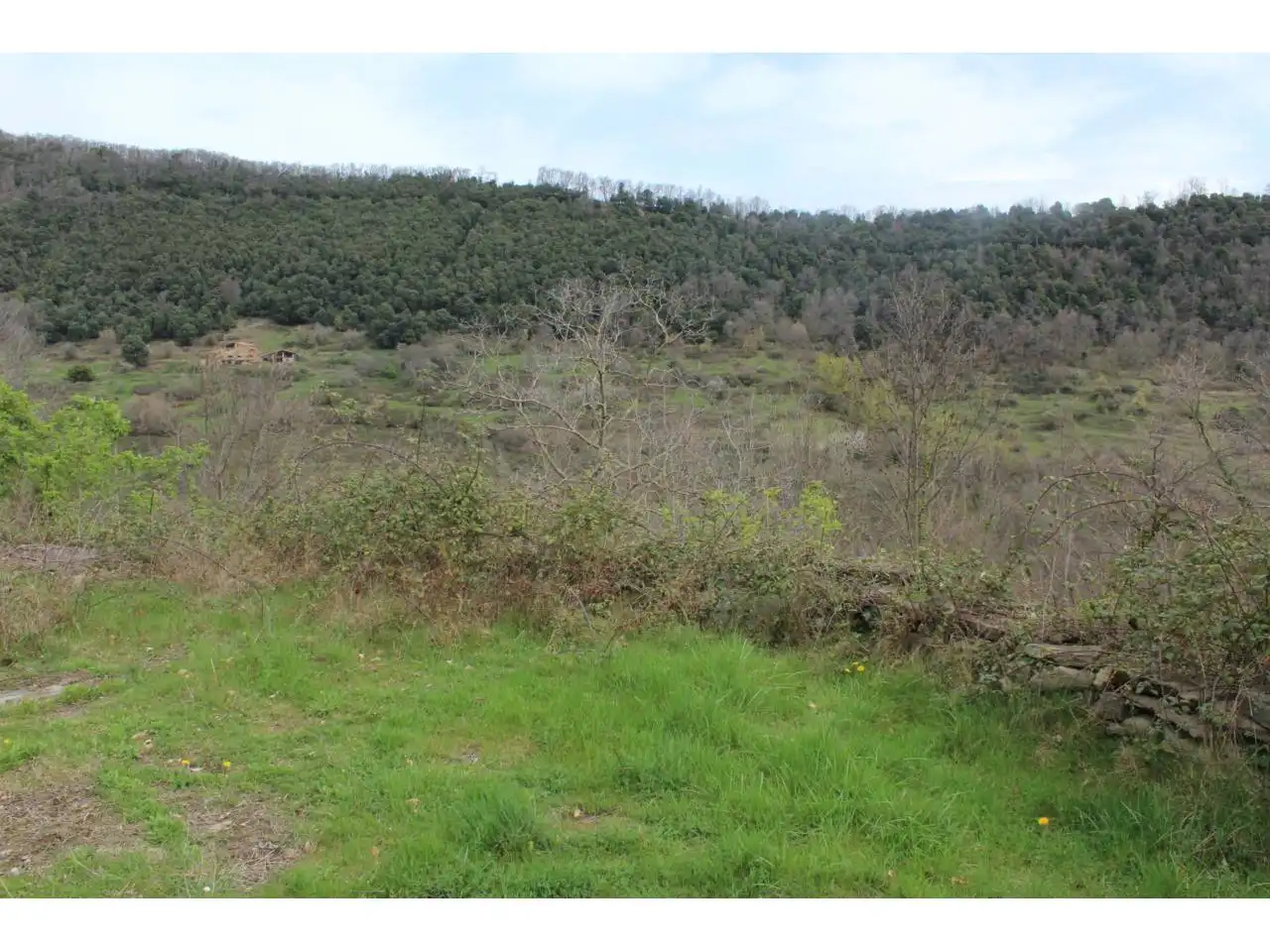 Finca rústica en venda en Riudaura amb Calefacció