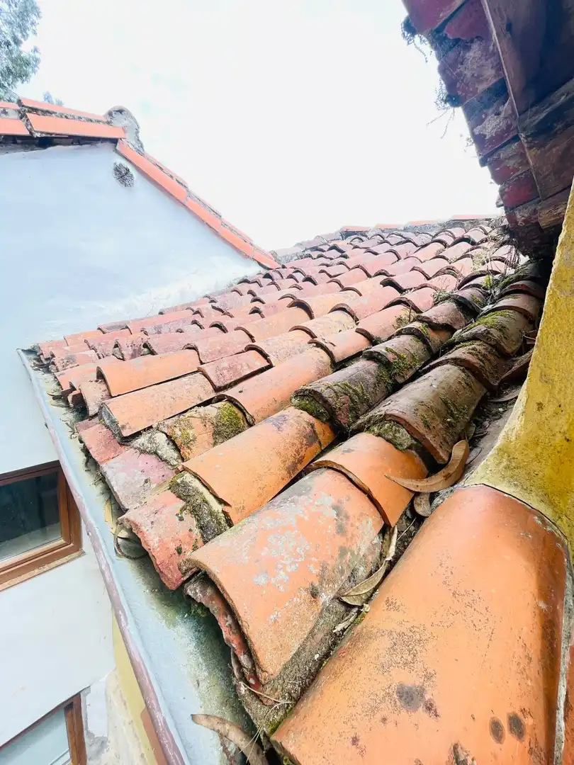 Vista exterior de Casa adosada en venta en Pravia con Calefacción, Terraza y Trastero