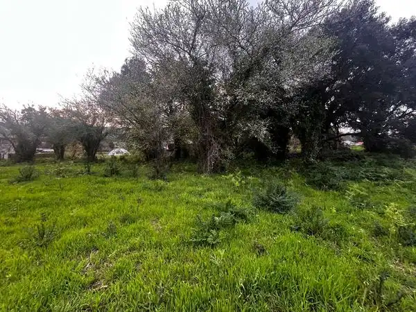 Terreno residenziale in vendita a Estrada de Furnos, imagen 16