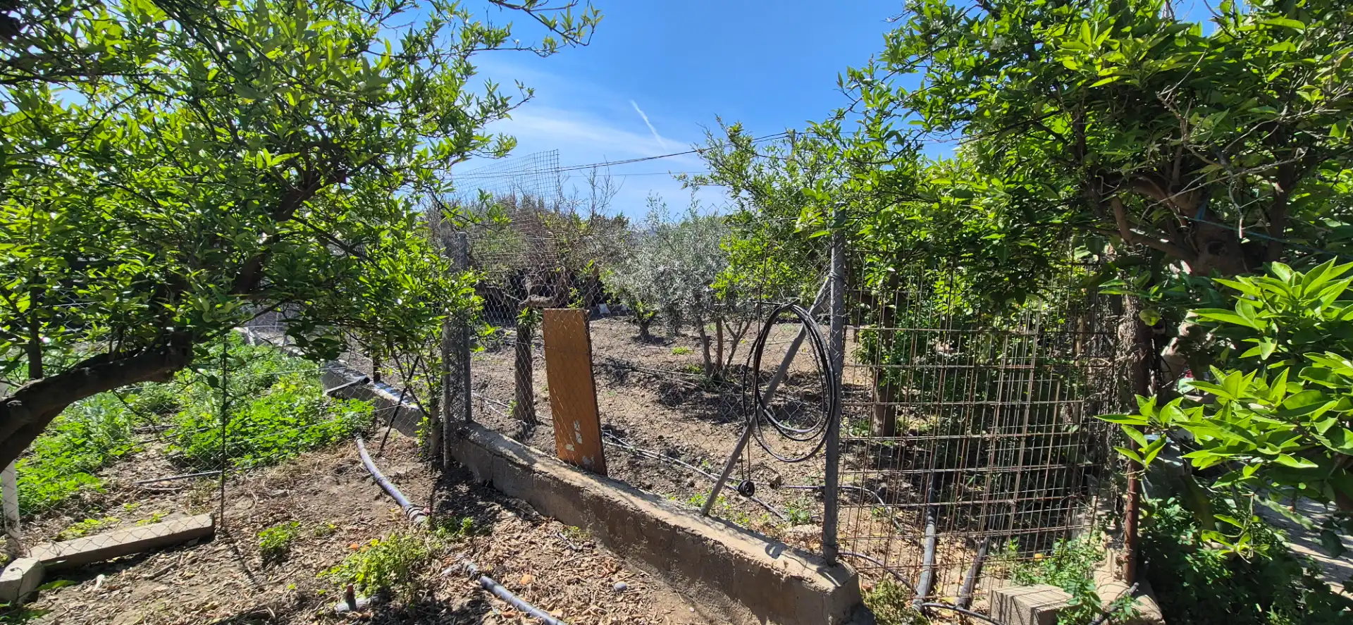 Finca rústica en venda en Benahadux