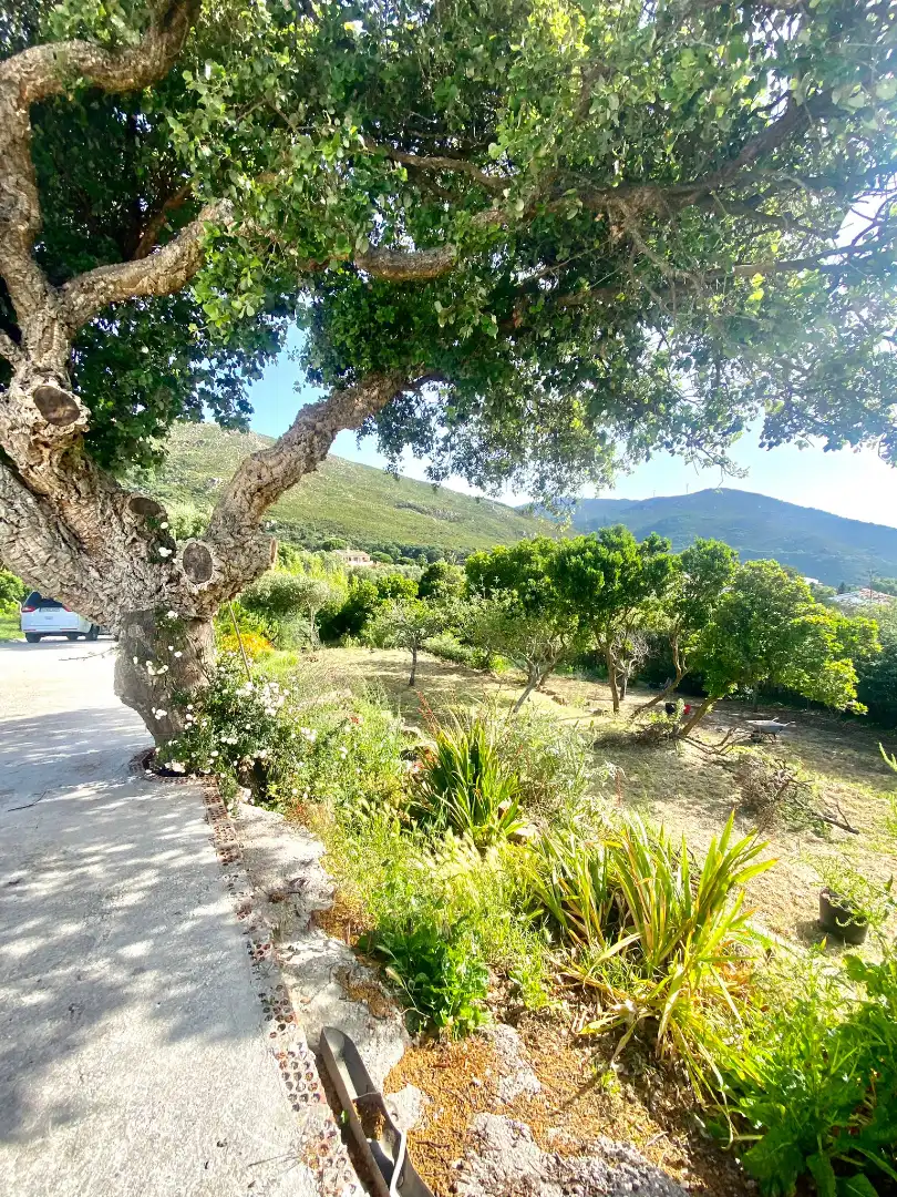 Villa con giardino in vendita a Arrabal Sector el Cuartón, imagen 7