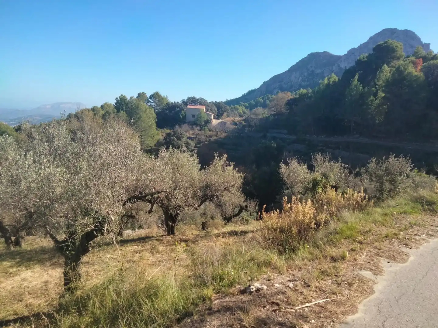 Chalet en venta en La Vall de Laguar, imagen 5
