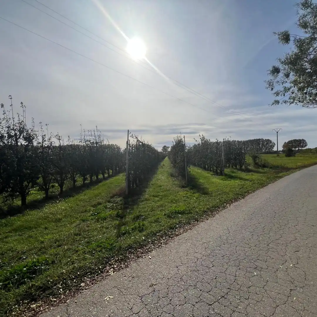 Terrenos y solares en venta en Camino 78, imagen 10
