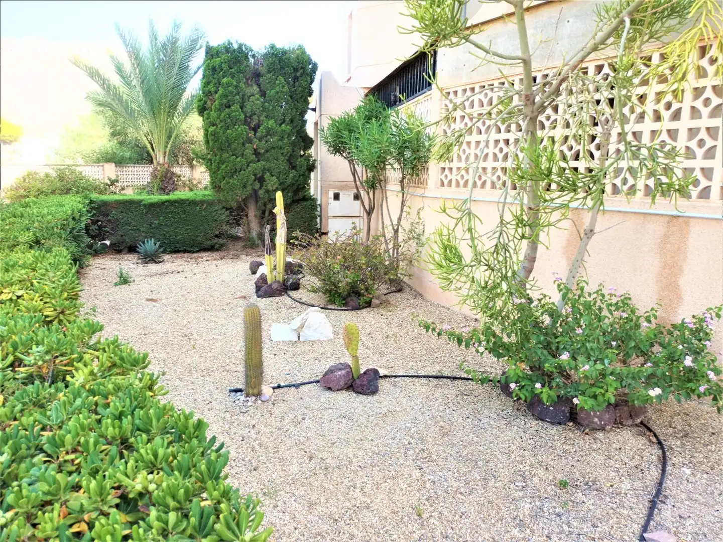 Casa con jardín en venta en Calabardina, imagen 43