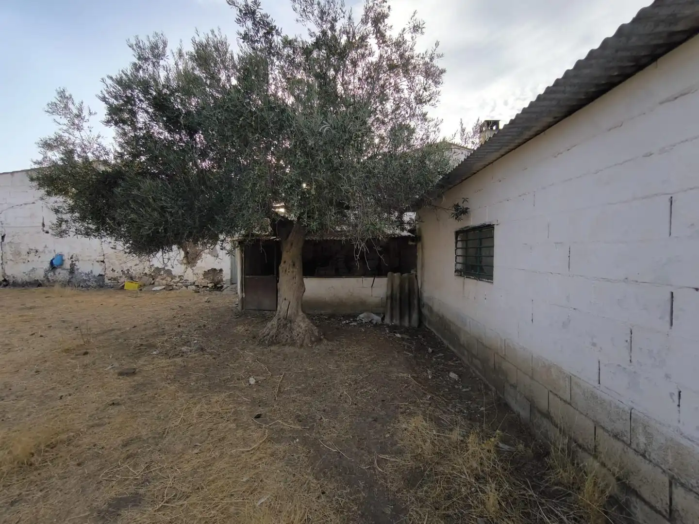 Finca rústica en venda en El Viso de San Juan
