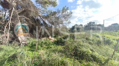 Photo 4 of House or chalet for sale in Calle de Sencelles, Cristo Rey - Parque Europa, Inca