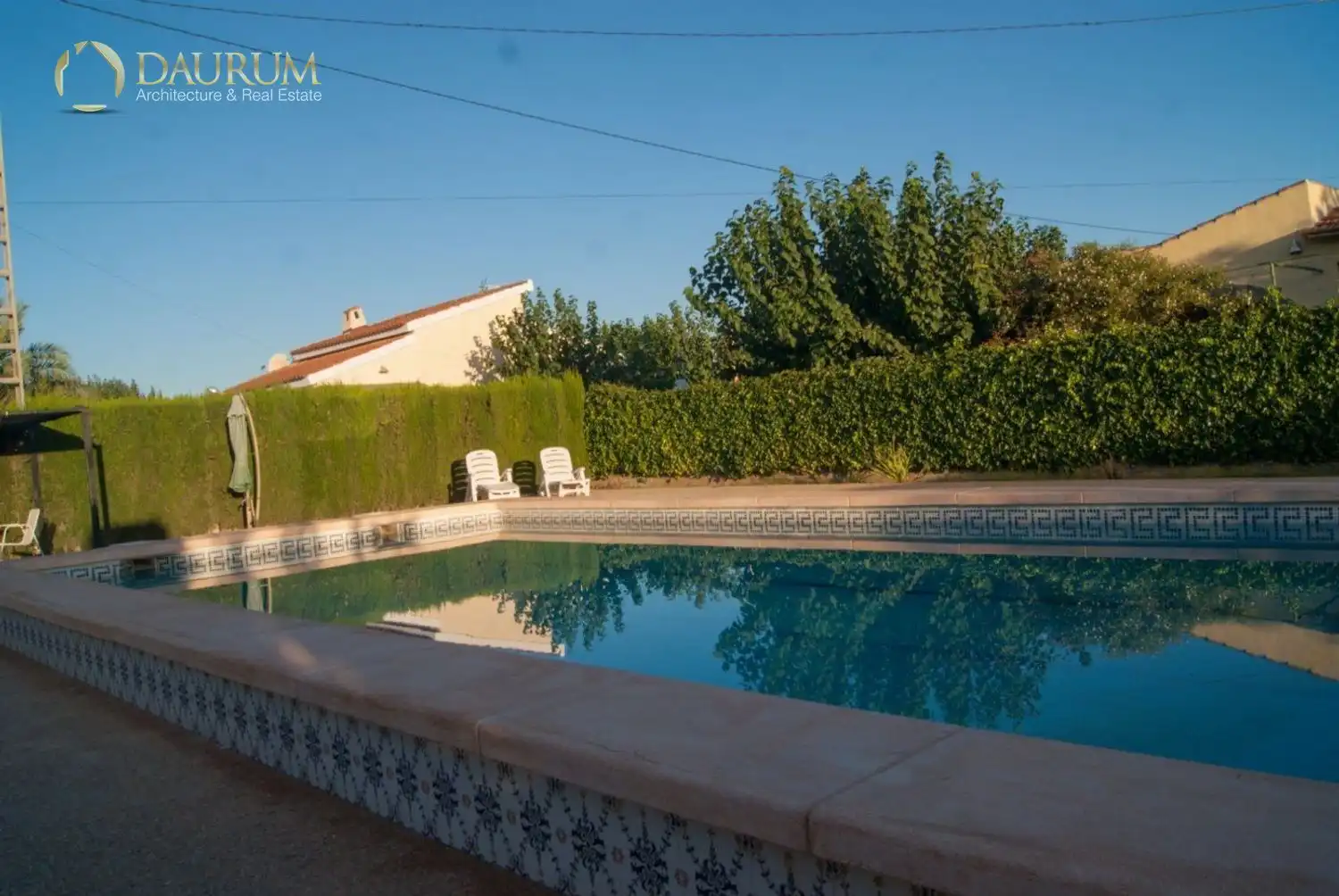 Piscina de Casa o chalet en venta en Novelda con Aire acondicionado, Terraza y Trastero